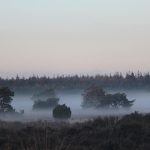 Landschap en natuur fotografie in Nederland