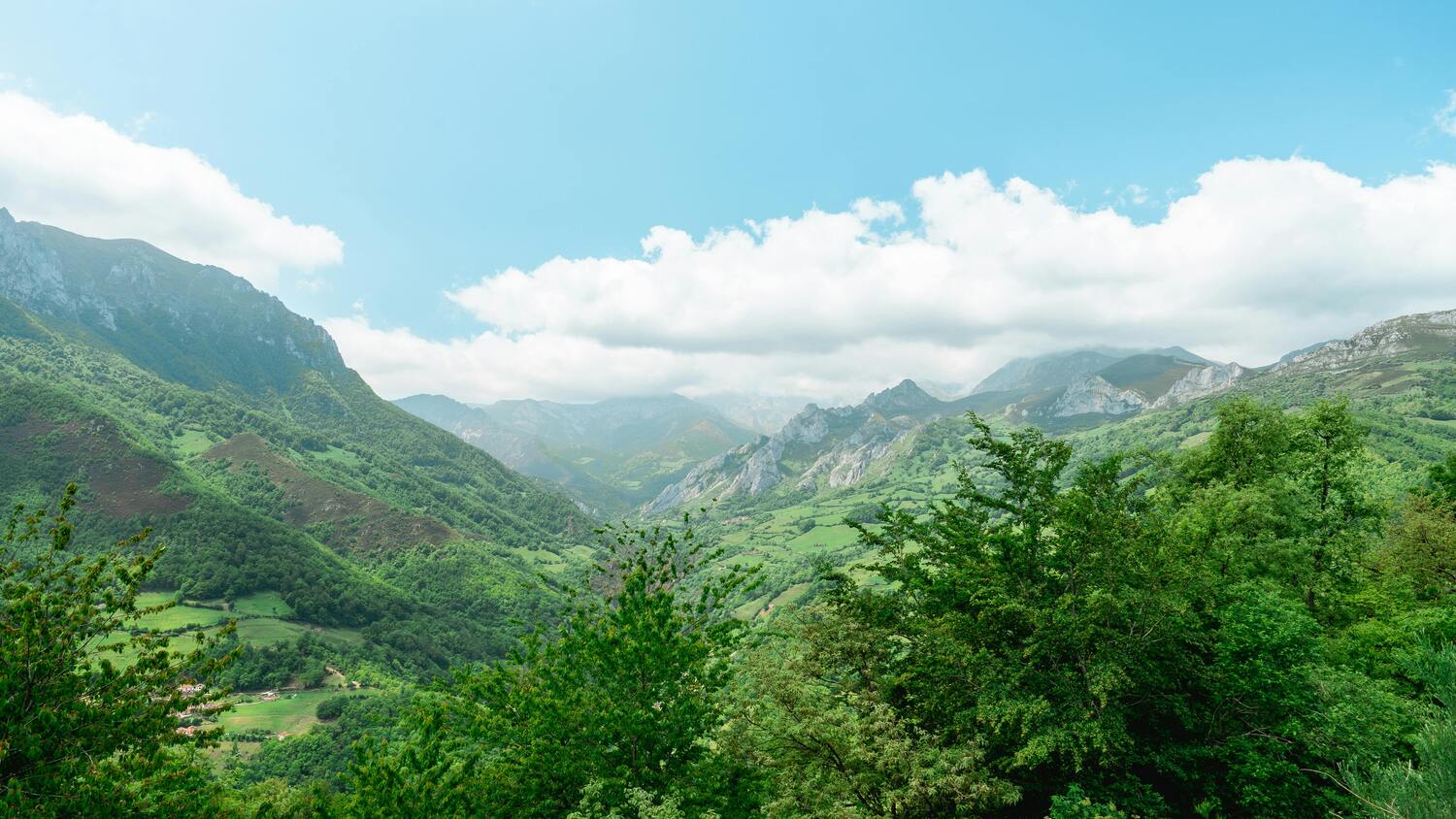 Bergen en veel groen met een groene filter.