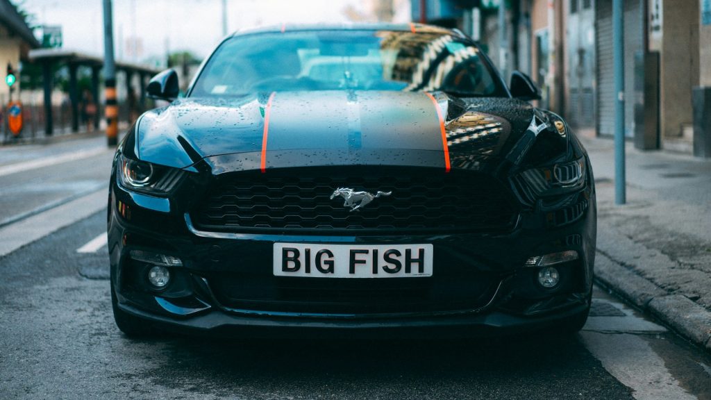 Zwarte Ford Mustang met oranje strepen vastgelegd frontaal op natte straat tijdens carspotting in de stad